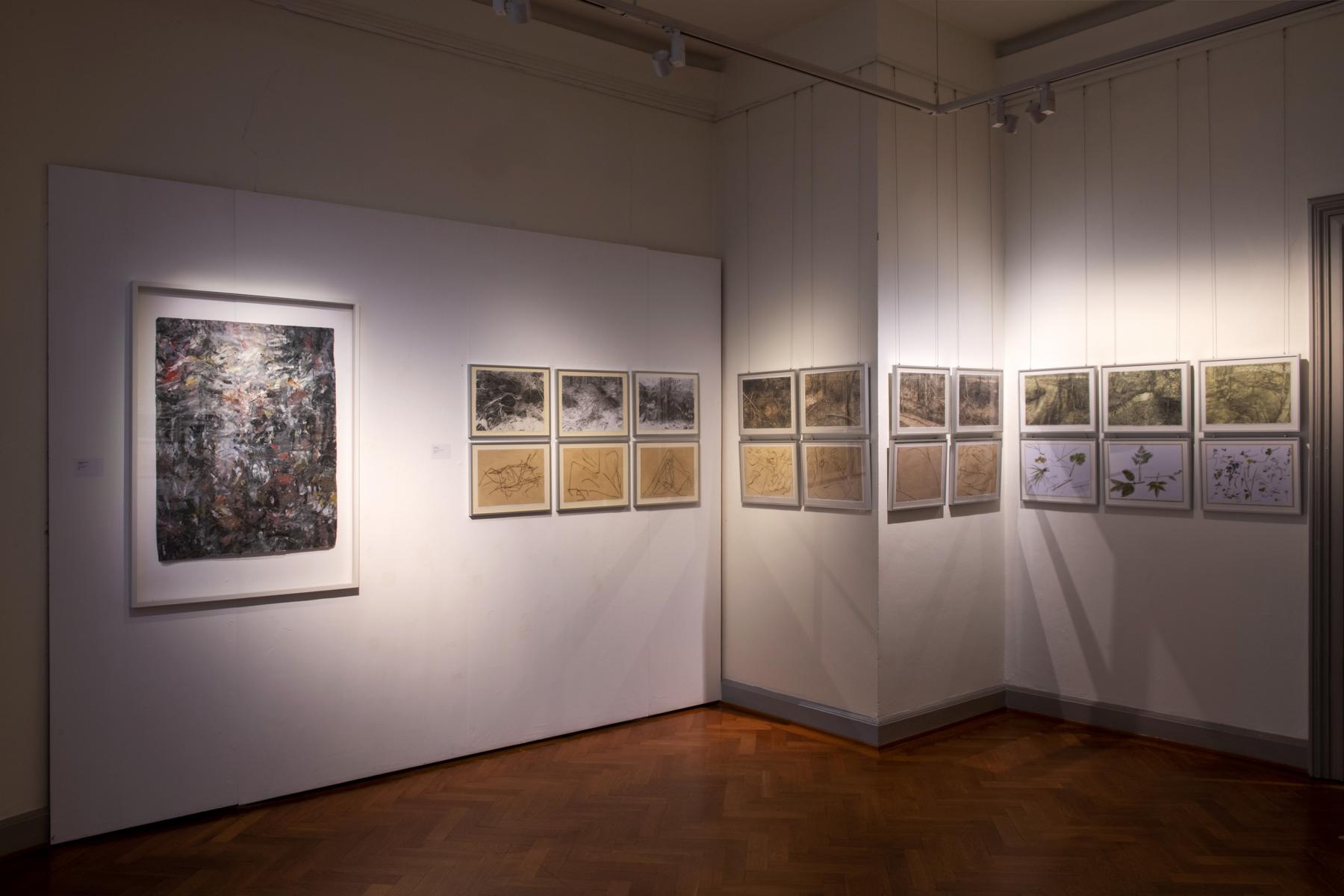 Ausstellung Waldeslust, Bamberg